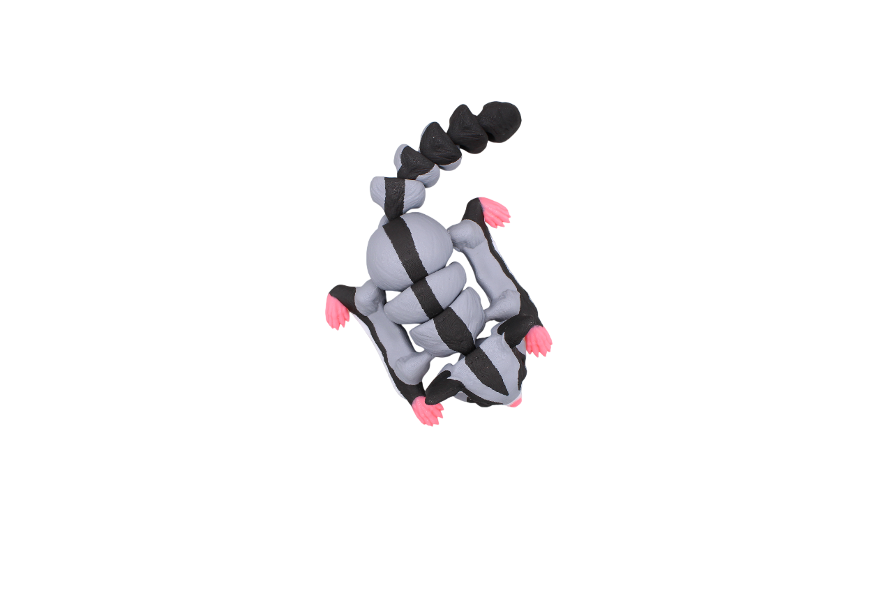 Sugar Glider Flexi
