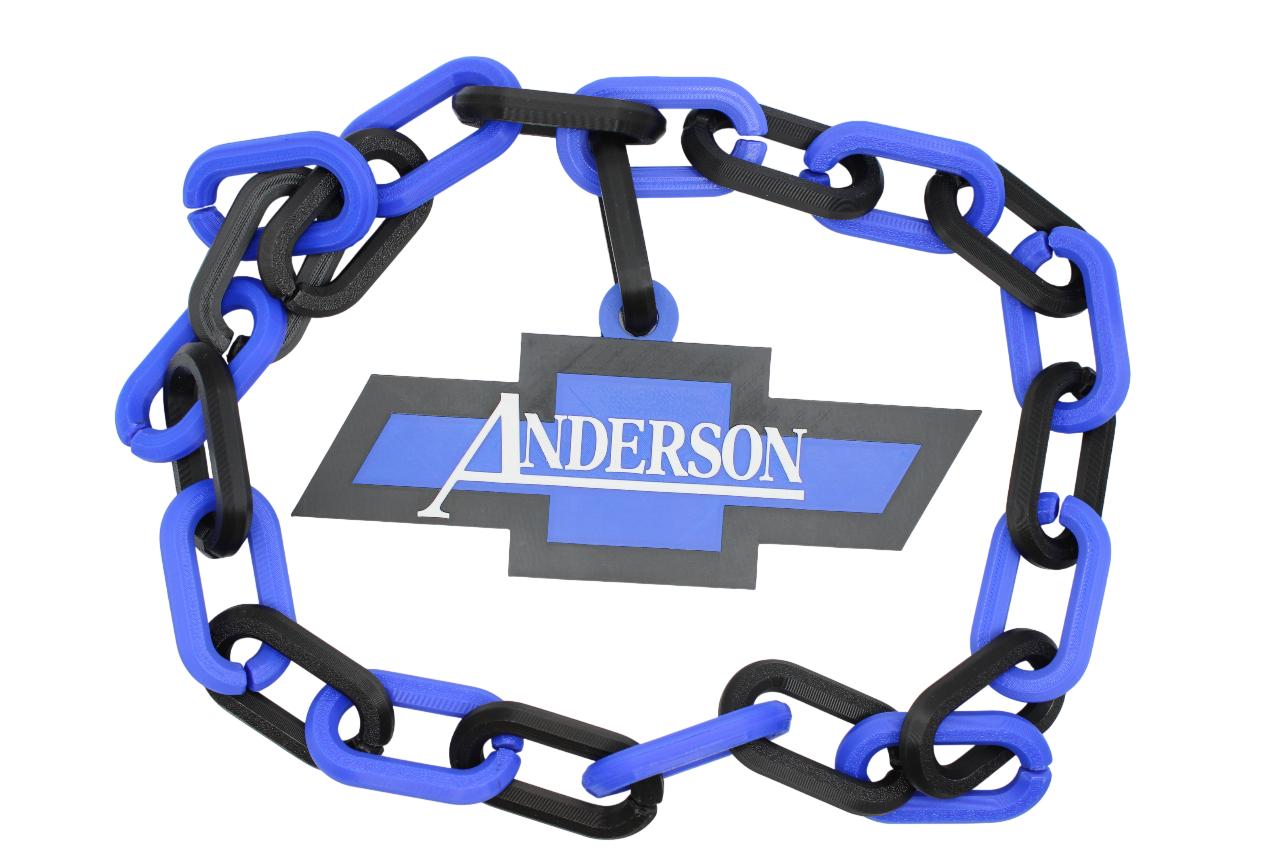 Chevy Anderson Chain Necklace