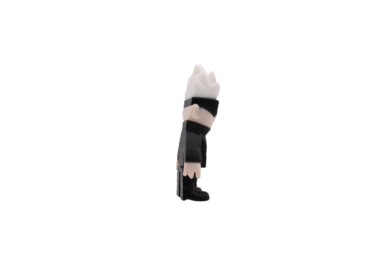 Satoru Flexi