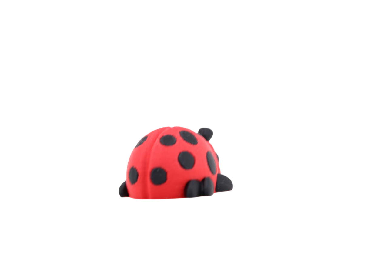Lady Bug Mini Flexi