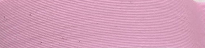 Bone Dragon 5 with Roses - Erratically Eccentric Creations