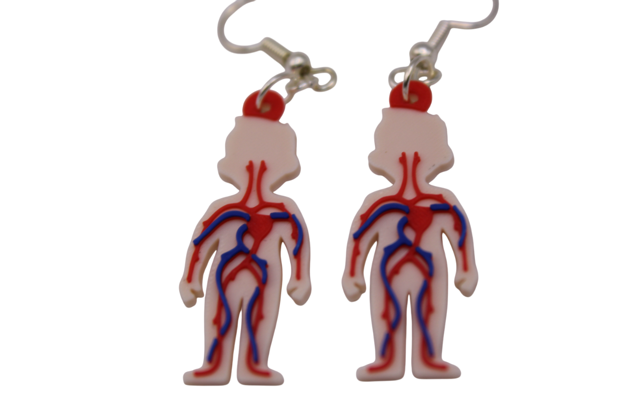 Cardiovascular Earrings (veins and arteries)