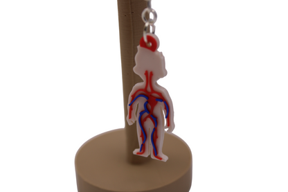 Cardiovascular Earrings (veins and arteries)