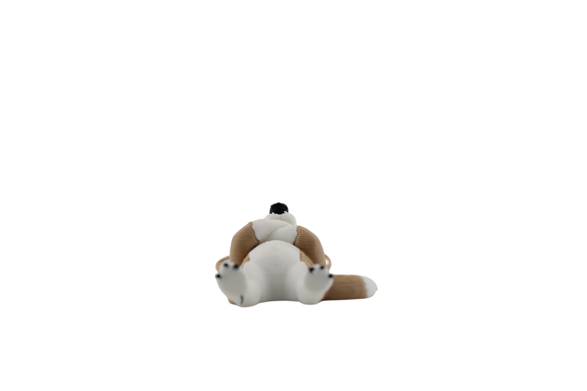 Underside view of a tan and white 3D printed corgi figurine lying on its back, showing its white belly, black-tipped paws and tan tail stretched to the side — a playful pose from Erratically Eccentric Creations.