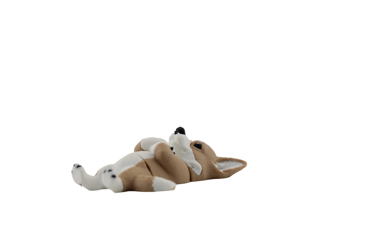 Side view of a tan and white 3D printed corgi figurine rolled onto its back with its belly exposed, black nose pointing upward and one tall ear resting sideways, from Erratically Eccentric Creations.