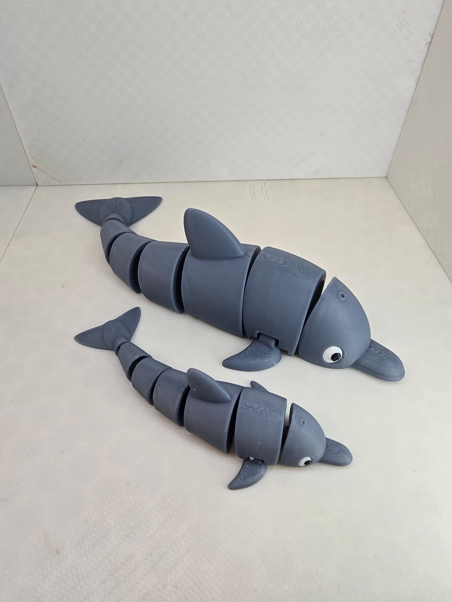 Dolphin