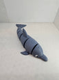 Dolphin