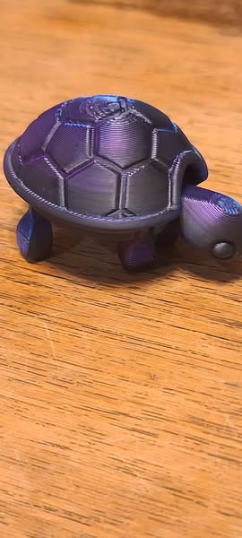 Flexi Turtle