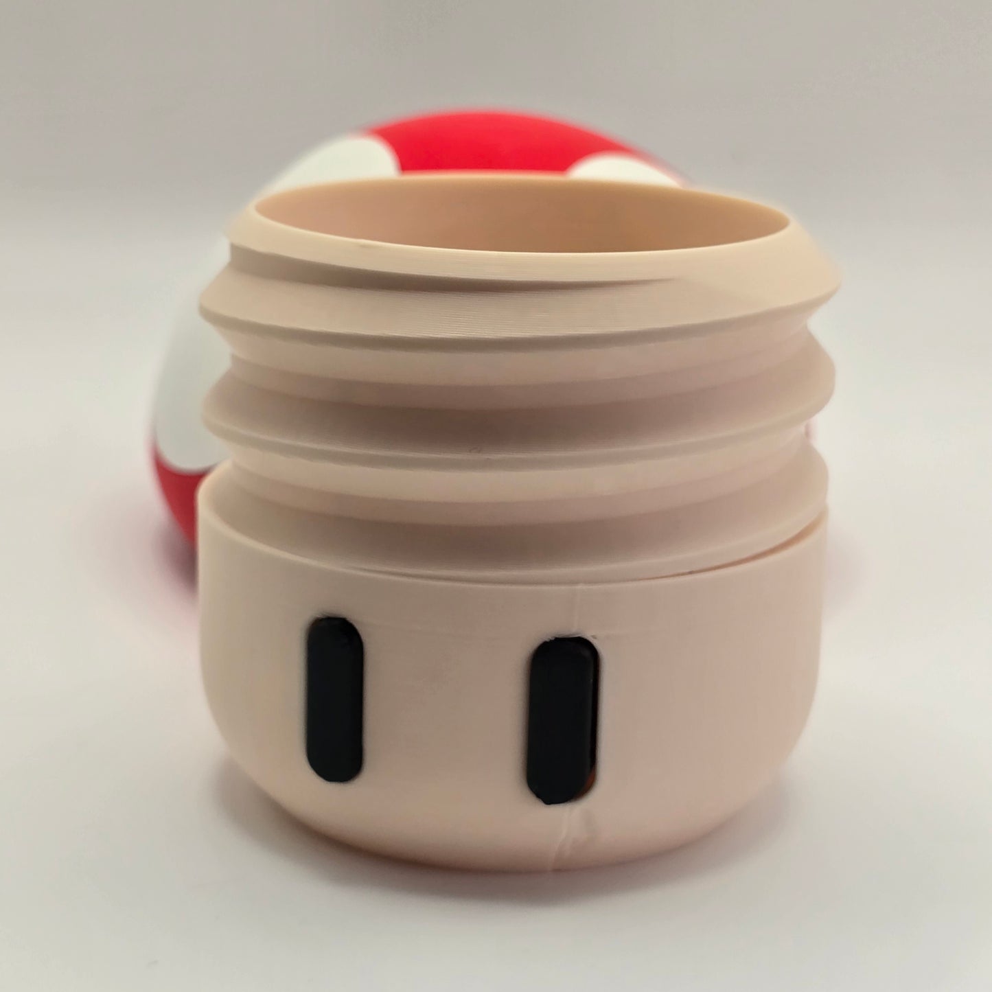 Mushroom Container