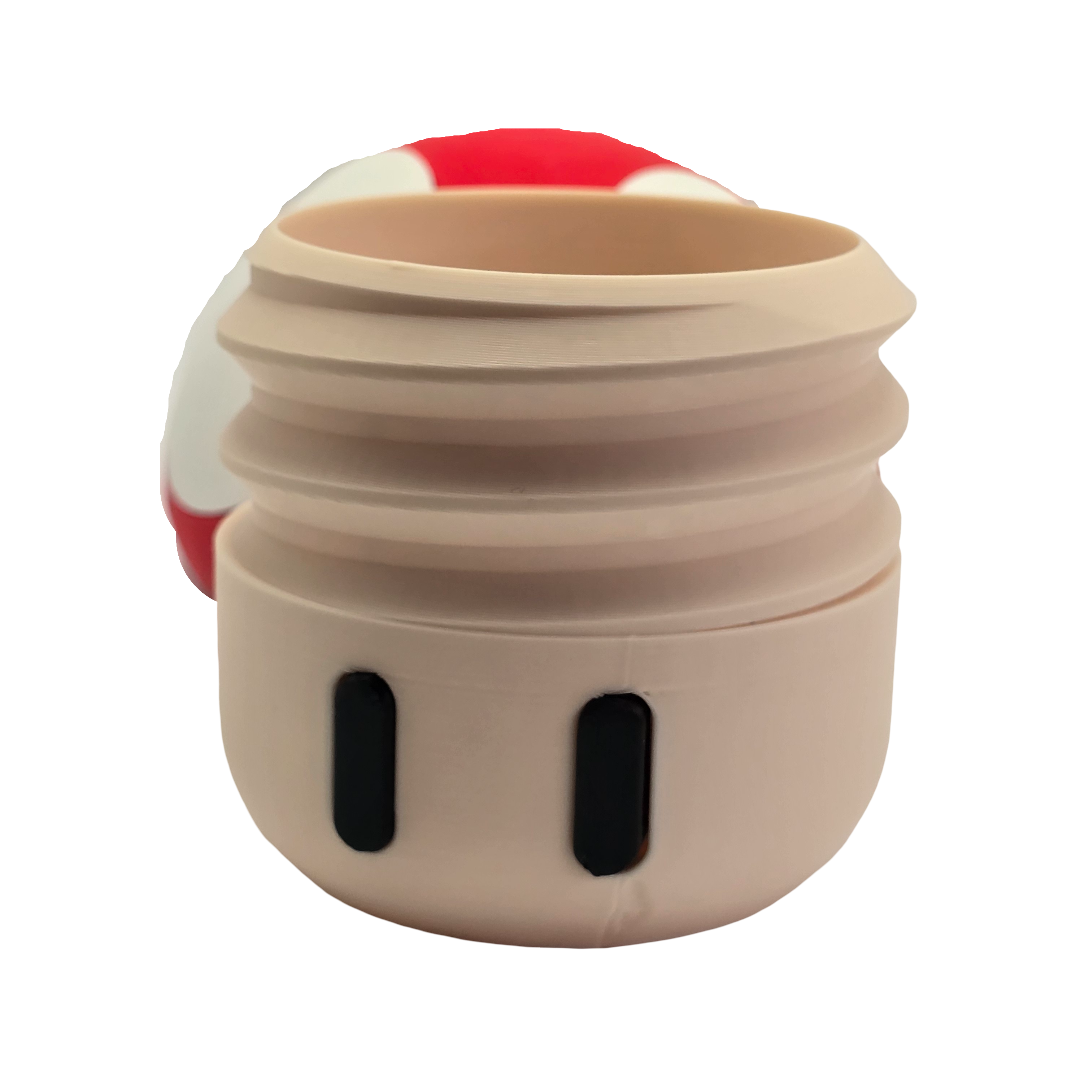Mushroom Container