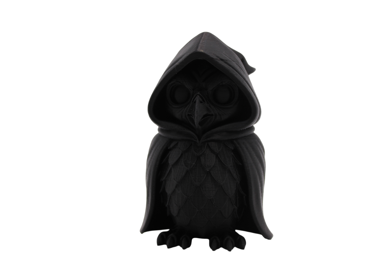 Cloaked Owl