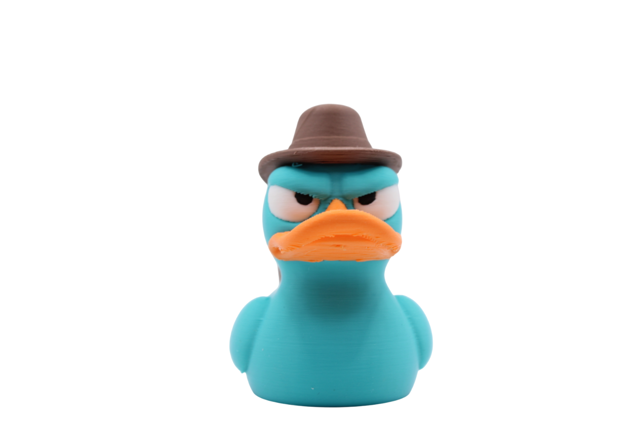 Perry Duck (the platypus!)