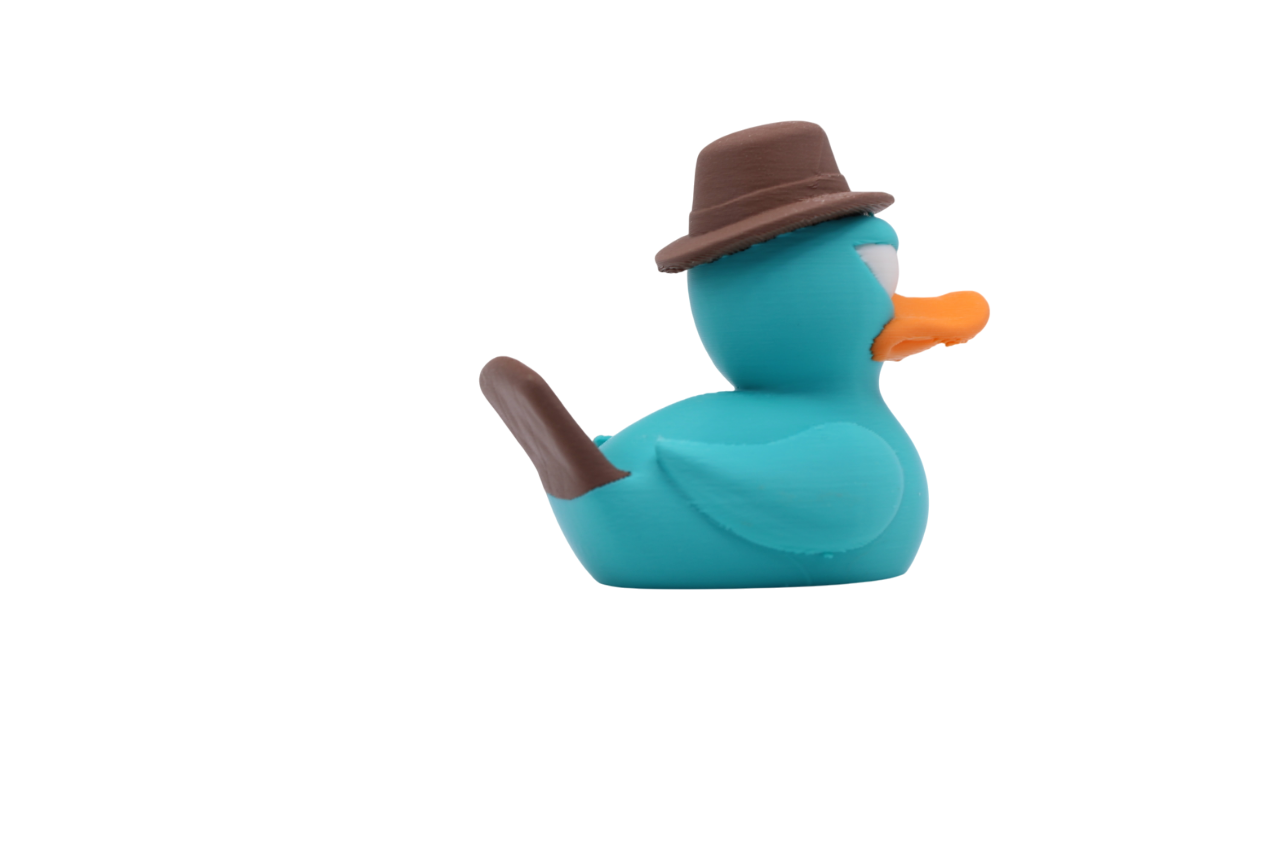 Perry Duck (the platypus!)