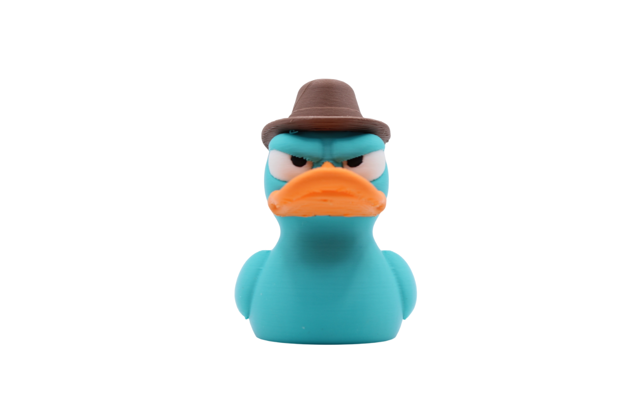Perry Duck (the platypus!)