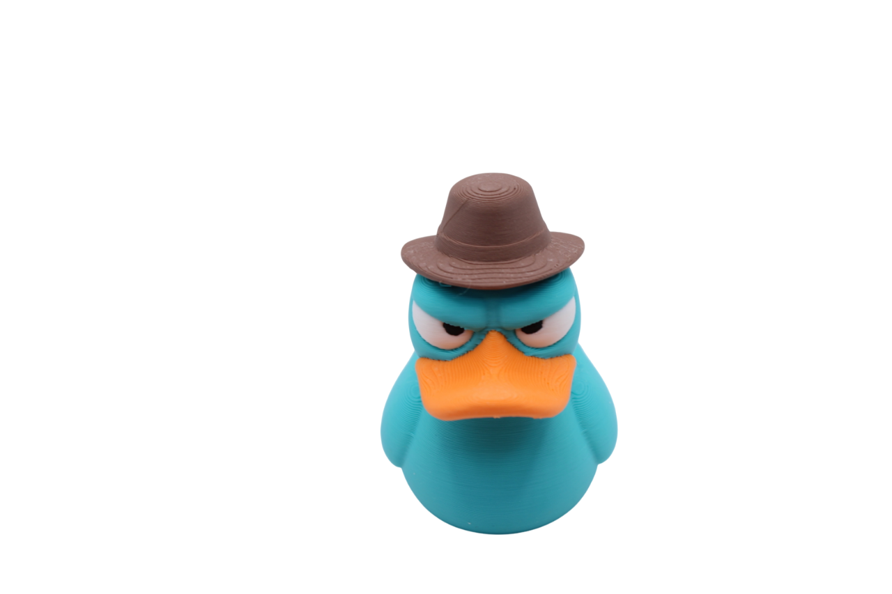 Perry Duck (the platypus!)