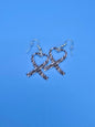 Rare Disease Earrings - 3D Printed - Erratically Eccentric Creations