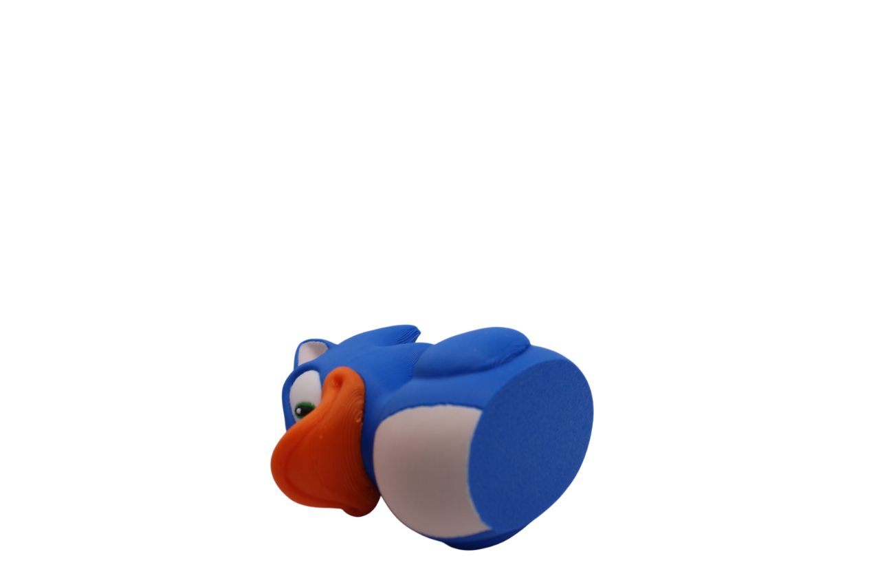 Sonic Duck
