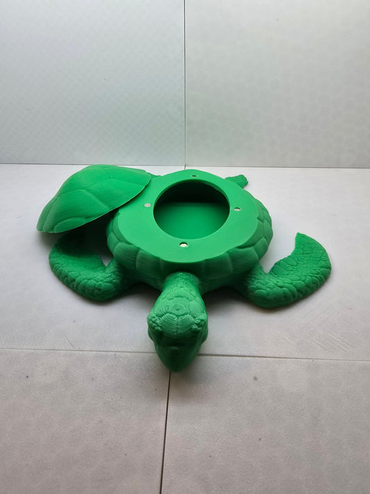 Turtle Jewelry Box
