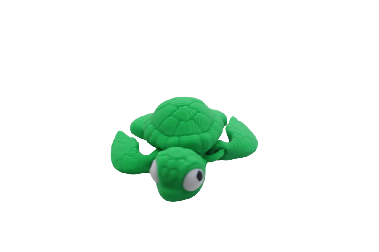 Turtle Mini