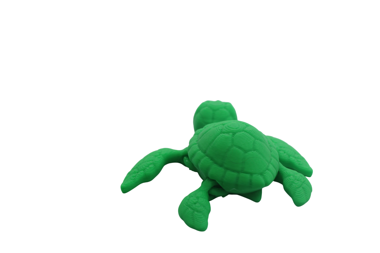Turtle Mini