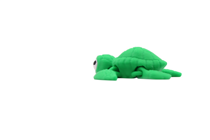 Turtle Mini