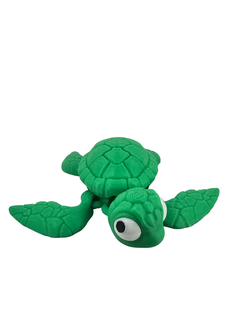 Turtle Mini